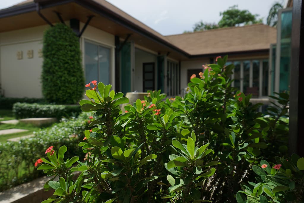 Green Feng Shui Villa