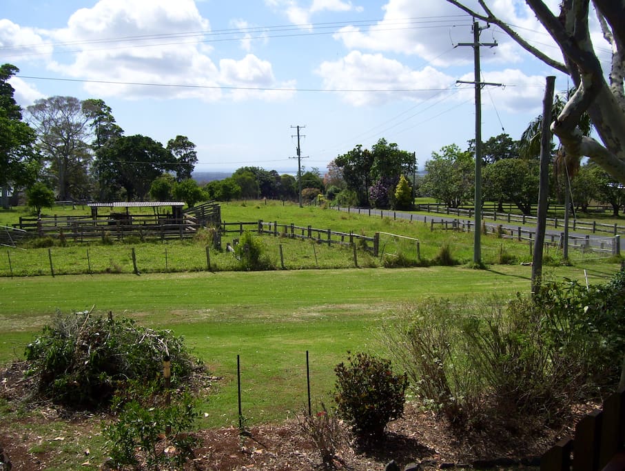 Farm walks or stroll down the lane beside the Macadamia trees.