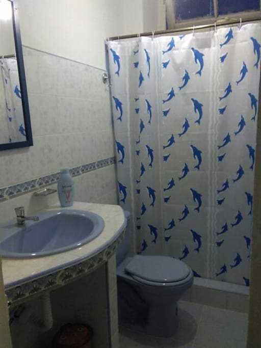 Brand new remodeled bathroom