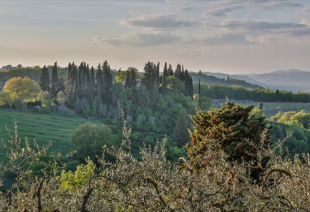 View from the private terrace garden.