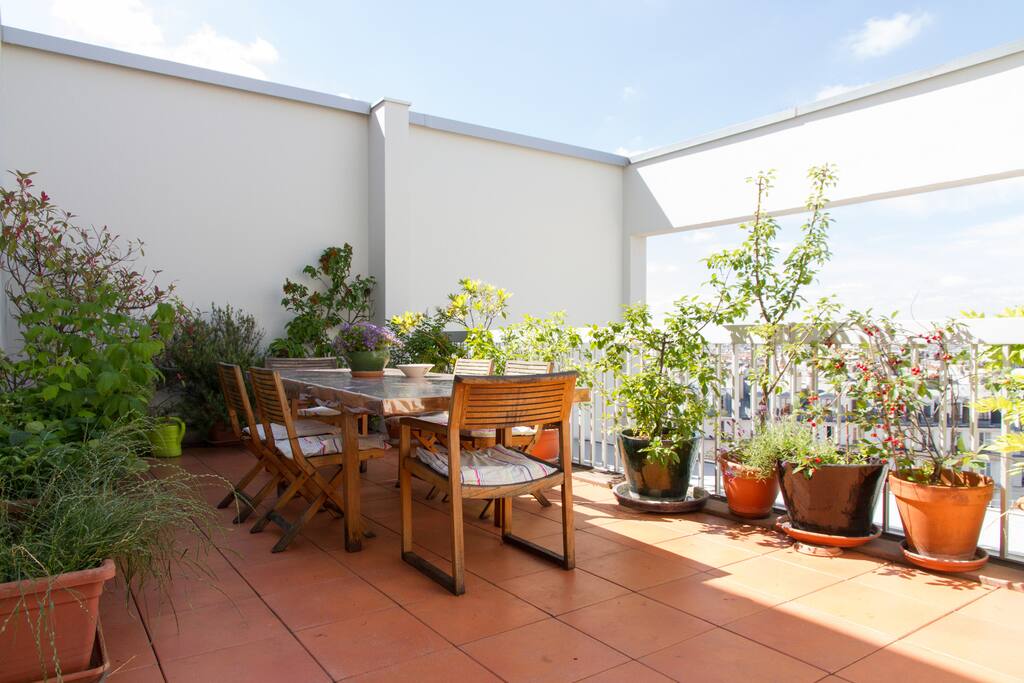 Lavande, romarin, cerises tout pour aromatiser vos plats