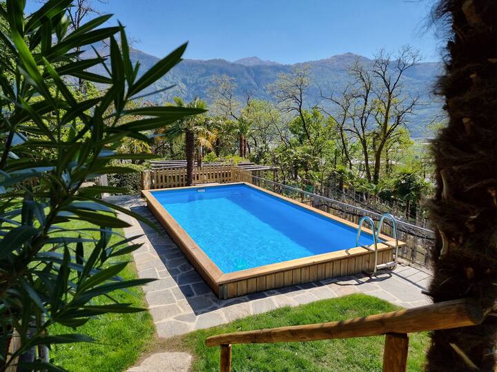 Perfect Family Holiday Experience Apartments for Rent in Sementina