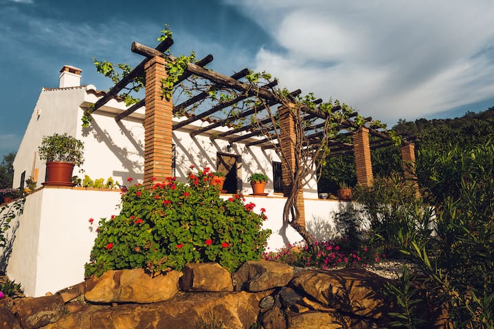 Casa Tranquila, a hidden paradise!