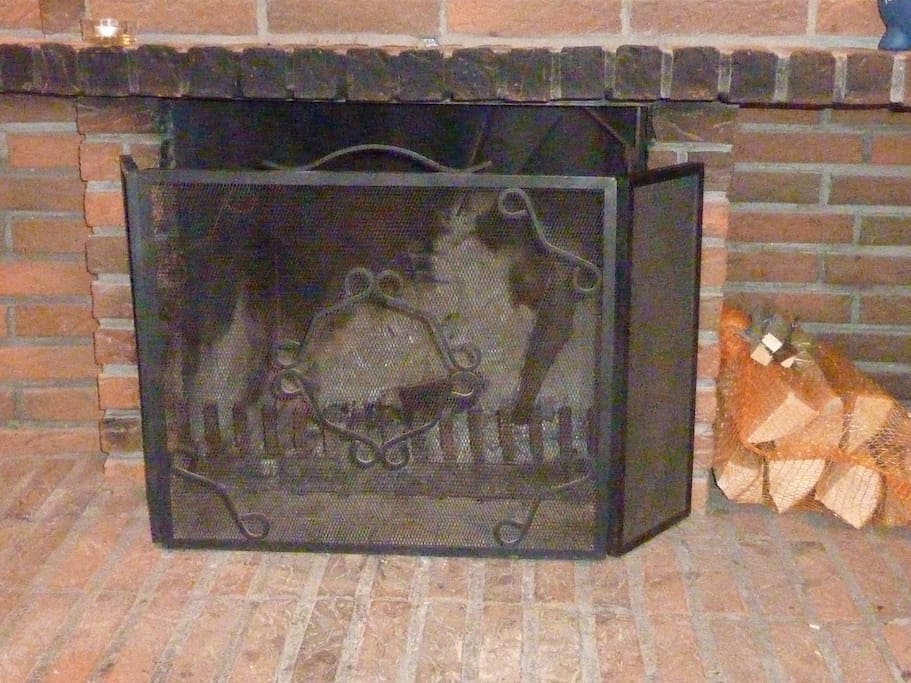Offener Kamin im Wohnzimmer