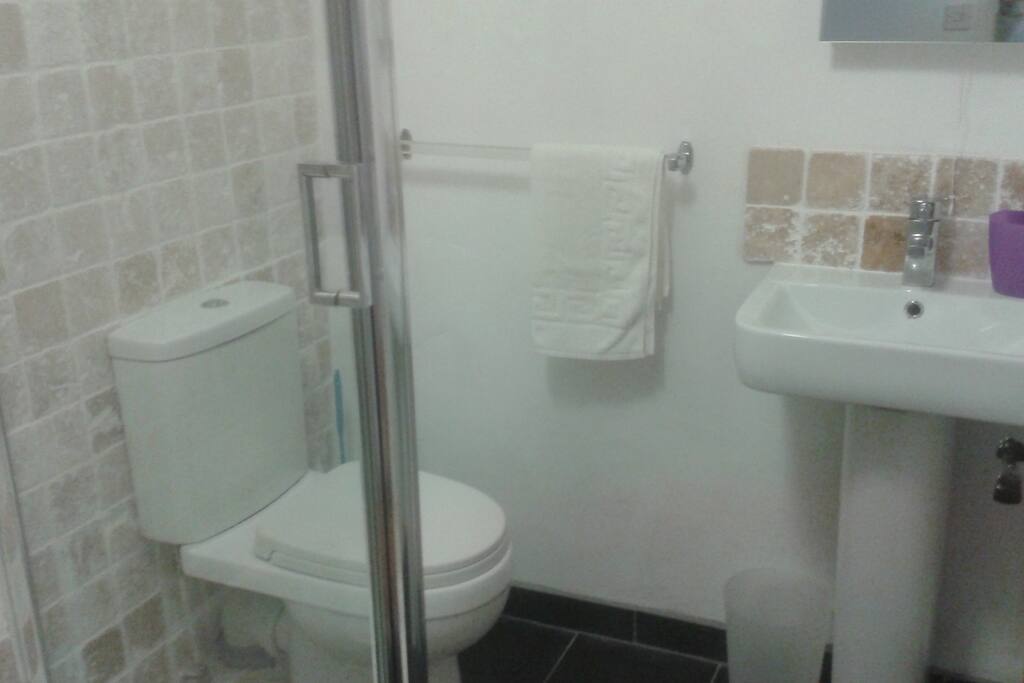 Bathroom sink, shower and toilet