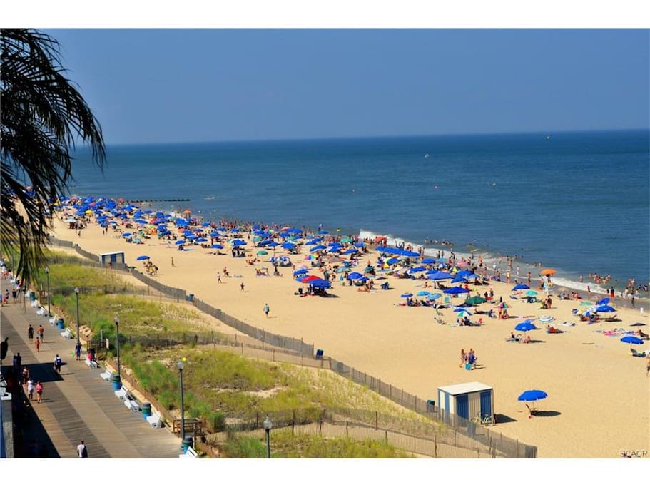 Bethany Boardwalk 15 miles