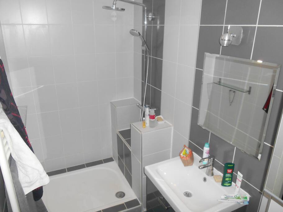 Salle de bain + WC attenant à la chambre privé