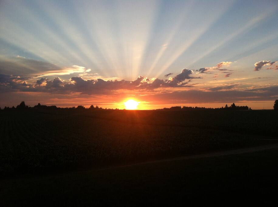 Sunset from back deck