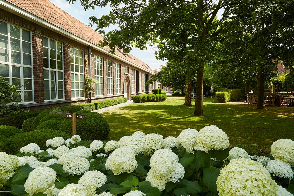 flowerful garden