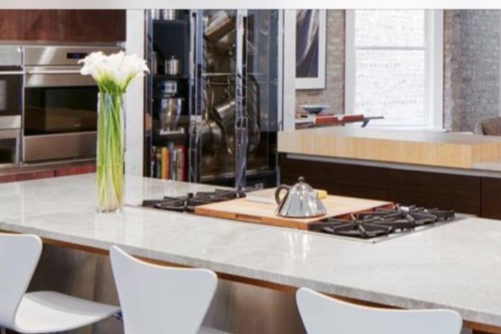 Gorgeous Home near Wrigley Field gallery image 4