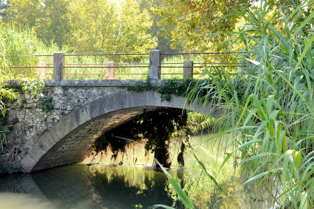 Moulin de la Roque River