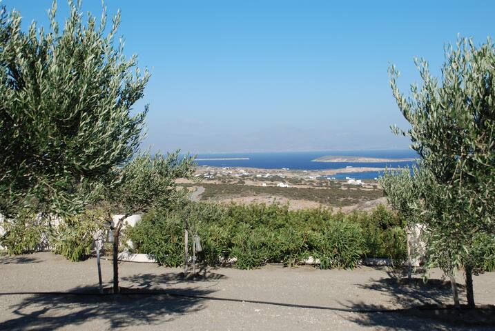 Luxury Villa in Paros gallery image 4