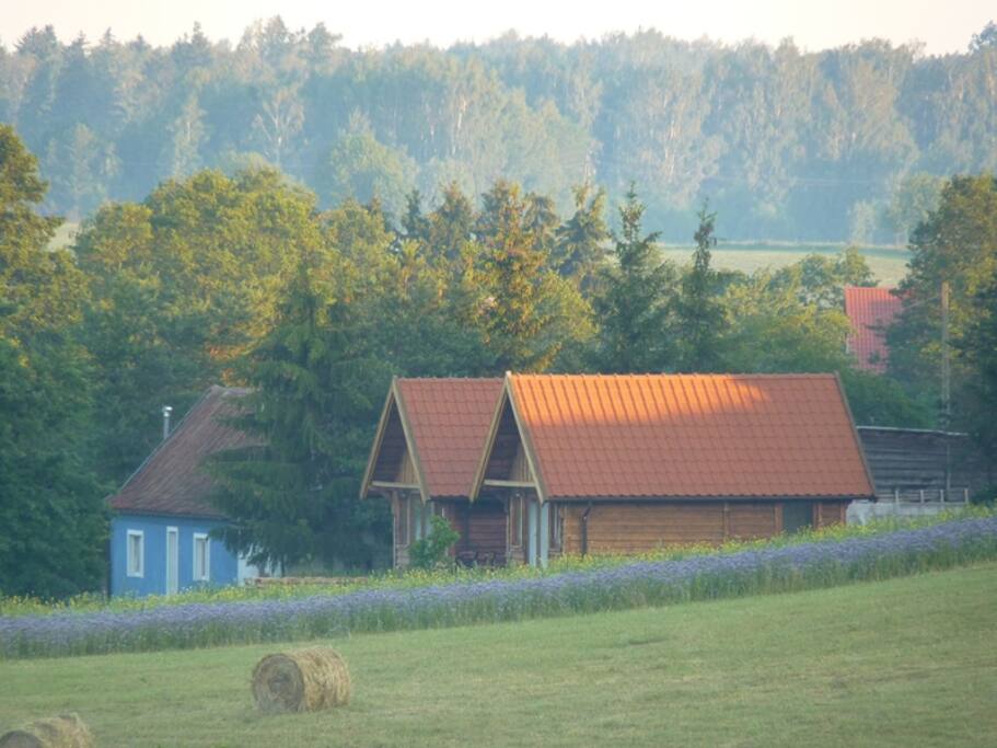 Cottage on the left is waiting for you.
