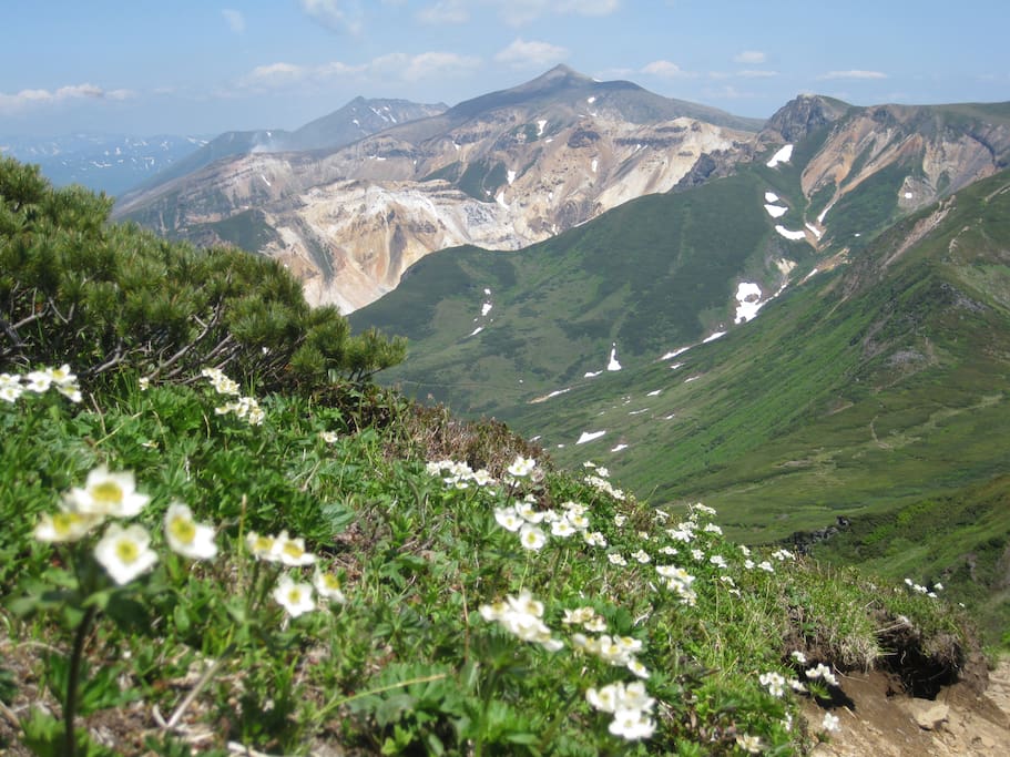 Trekking in early summer near mountain