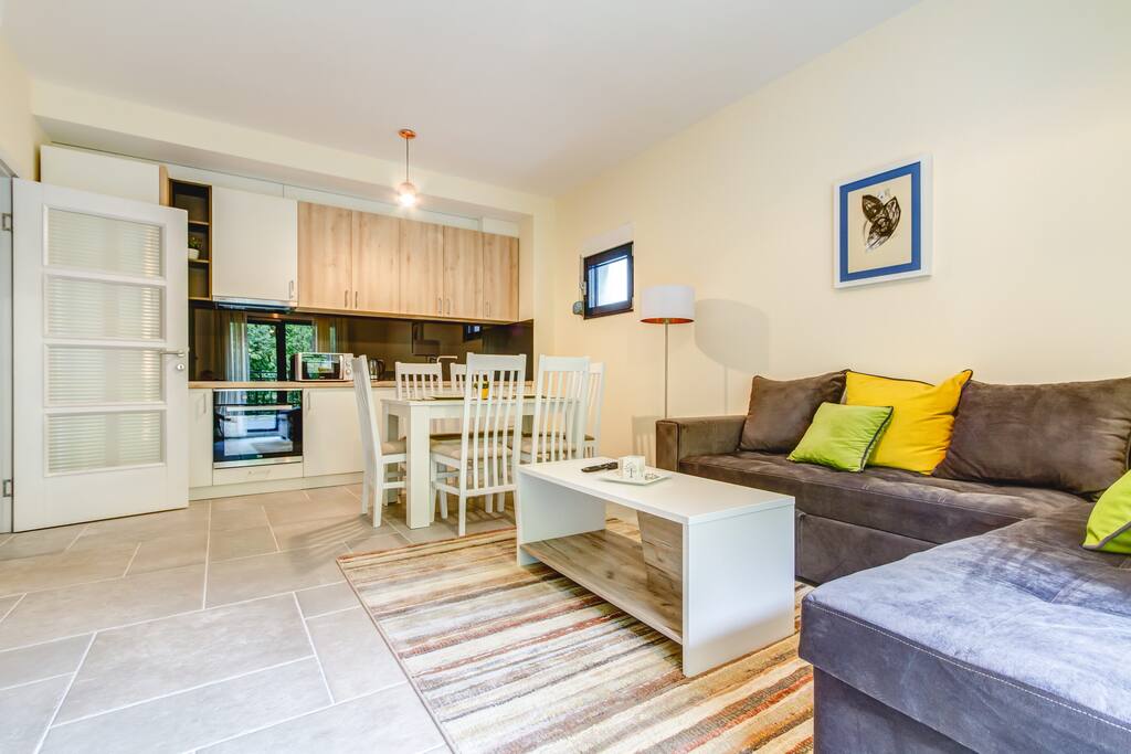 Living room, kitchen