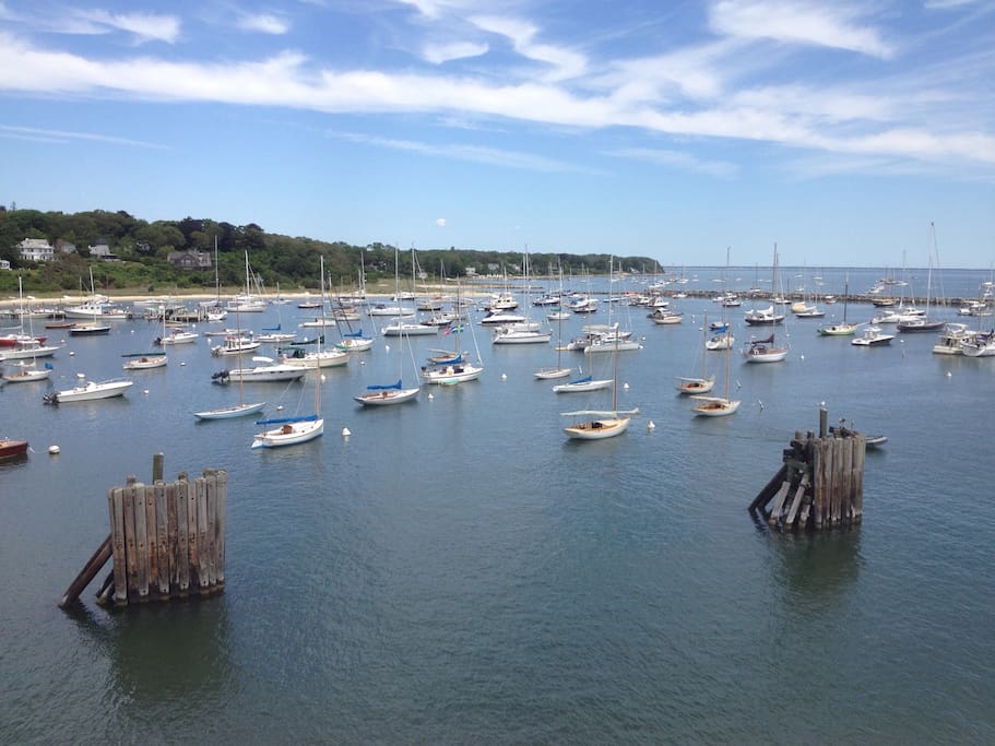 View From the Harbor