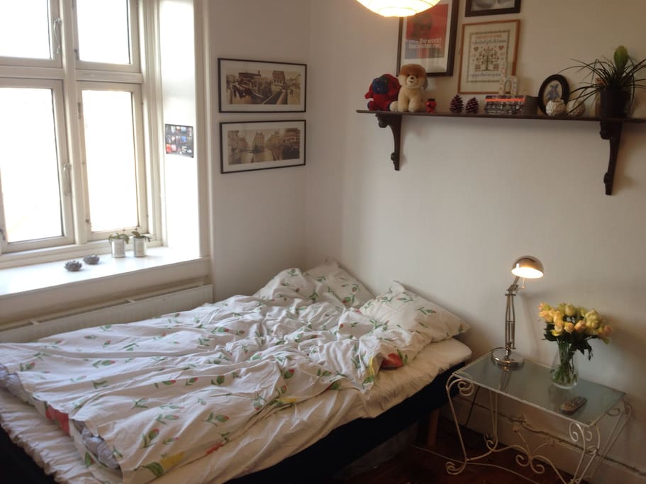 Classic & comfy Copenhagen room Apartments for Rent in Valby, Capital