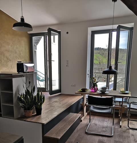 Apartments in the historical house