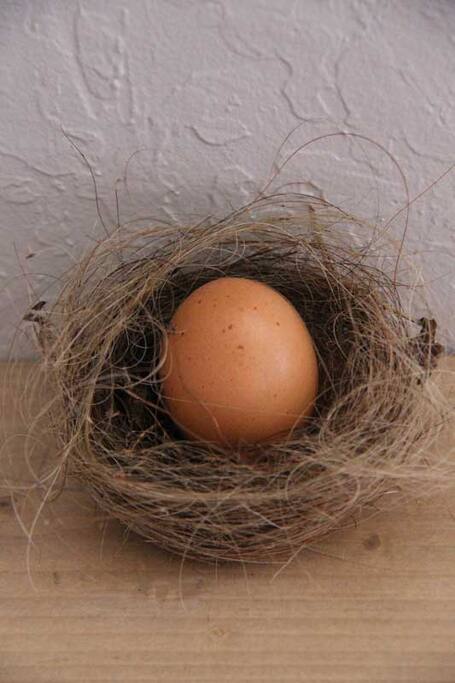 "The Nest"
