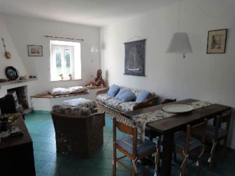 Charming seaside village property