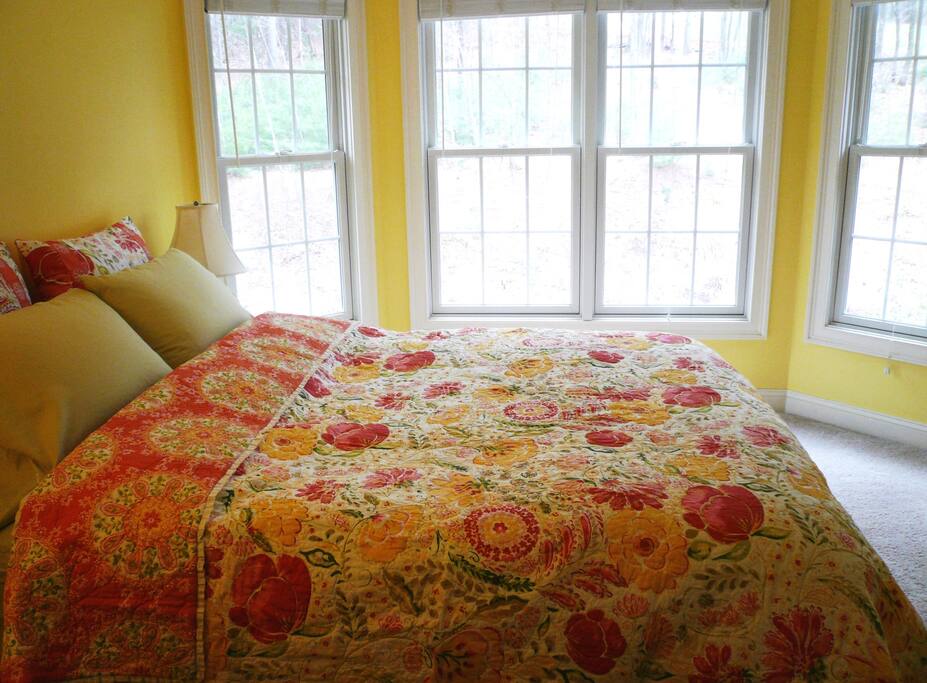 Sunny room, beautiful views, 2mi to town Bed and breakfasts for Rent