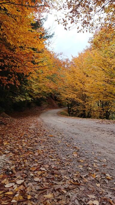on the way home from main road up to the village