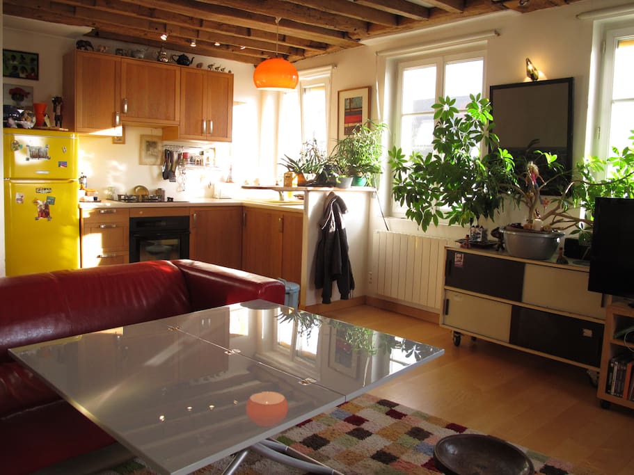 Beau, grand studio canal St Martin Apartments for Rent in Paris, Île