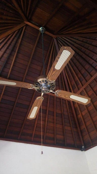 Ceiling Fan
