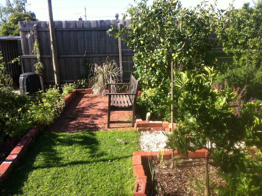 Back garden