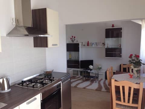 Top performing Airbnb: Apartment Rožica in Općina žminj