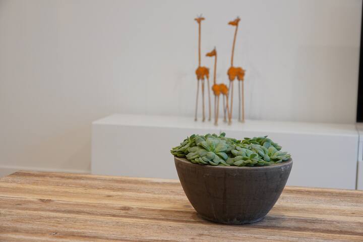 Authentic city house with a lovely patio gallery image 4