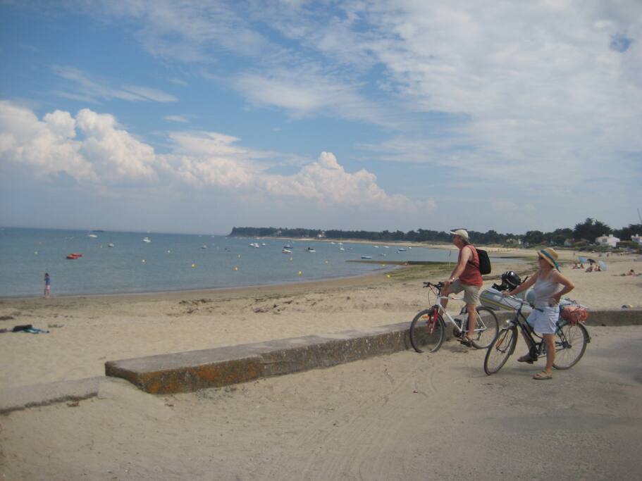 A 50M de la plage du MARDI GRAS ...