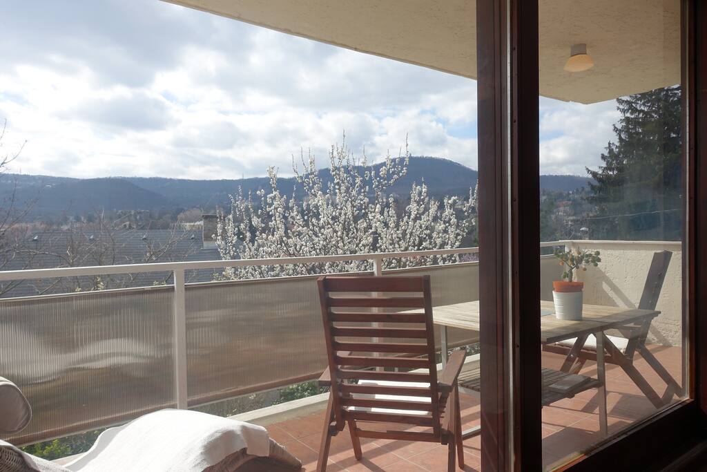 Scenic panorama from the balcony