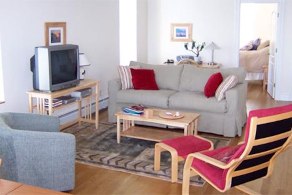 Living room of Water's Edge condo.