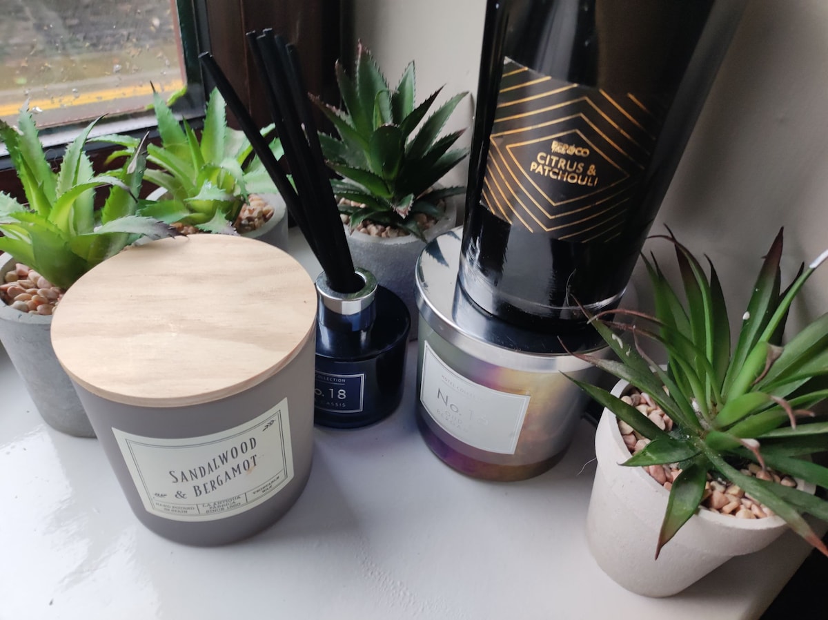 A collection of decorative candles and reed diffusers is arranged alongside small potted plants. The candles feature wooden lids and minimalist labels, while the plants add a touch of greenery to the surface near a window.