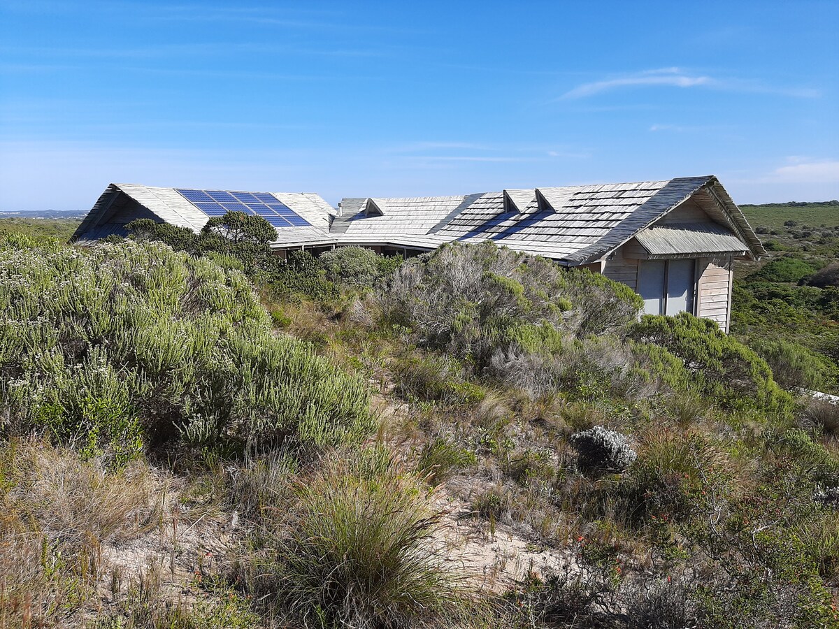 The house is nestled among native vegetation, featuring a sloping roof with solar panels positioned above. The structure showcases natural wood elements, blending harmoniously with the surrounding landscape. Soft grasses and shrubs frame the exterior, with a clear blue sky visible above.