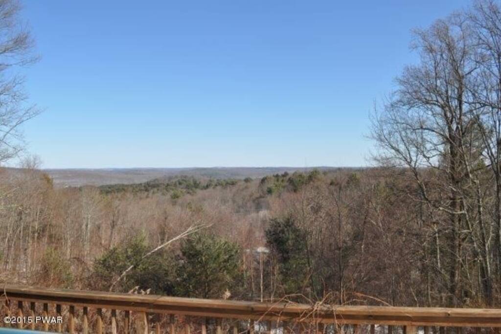 View from 40 ft deck