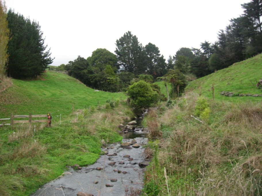 Babbling brook