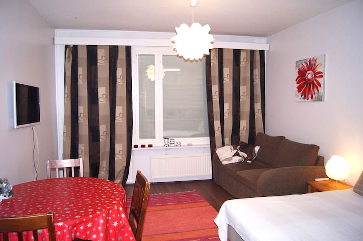 Cosy city apartment