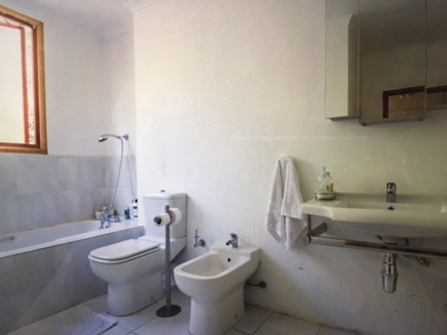 Family bathroom