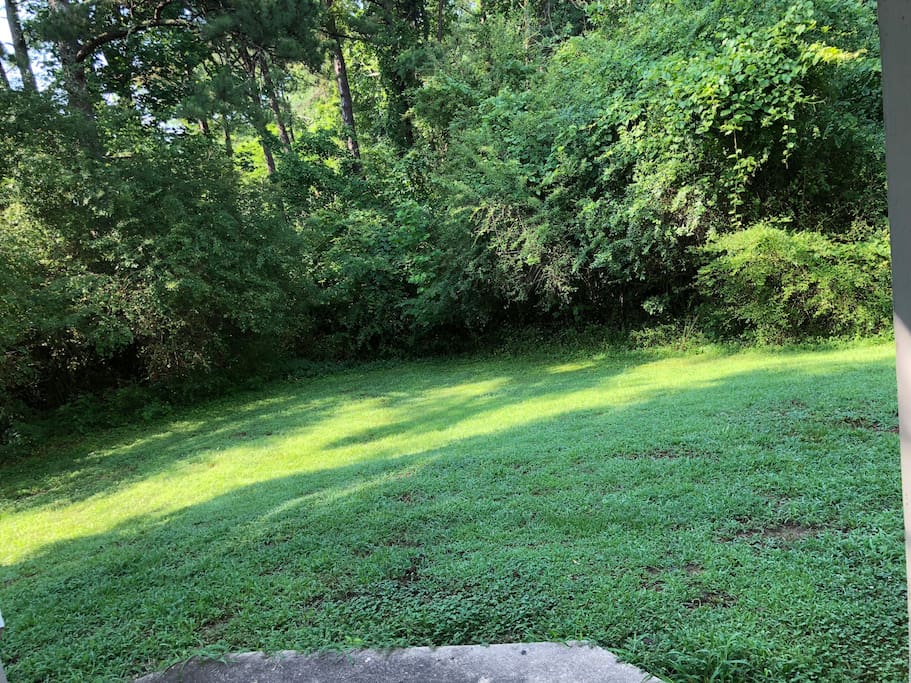 Generous shared yard space. Message me for more details.