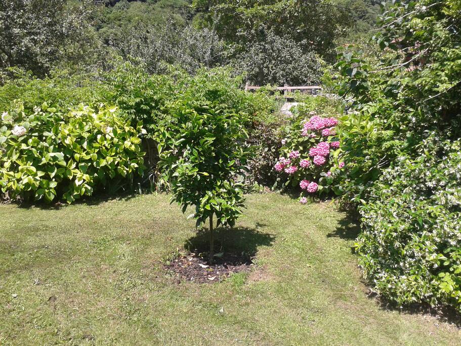 EL JARDIN