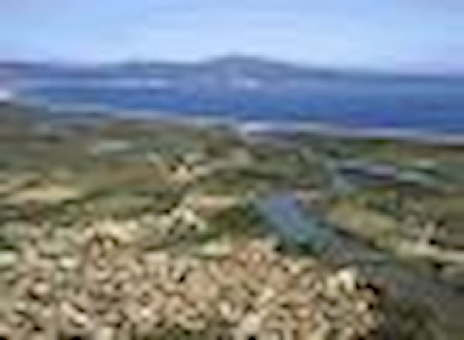 Room in the Bay of Roses