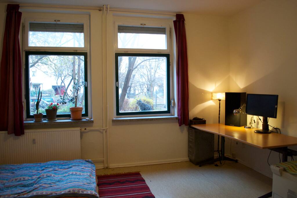 Large main desk next to windows looking out onto the very green courtyard.