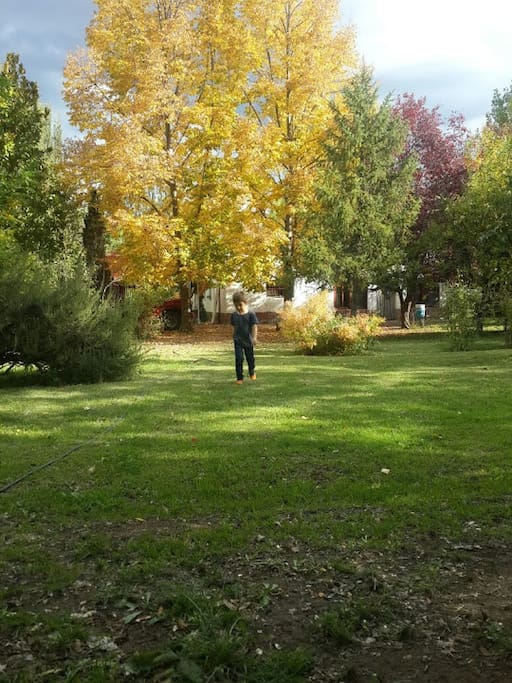 parque del frente de la casa