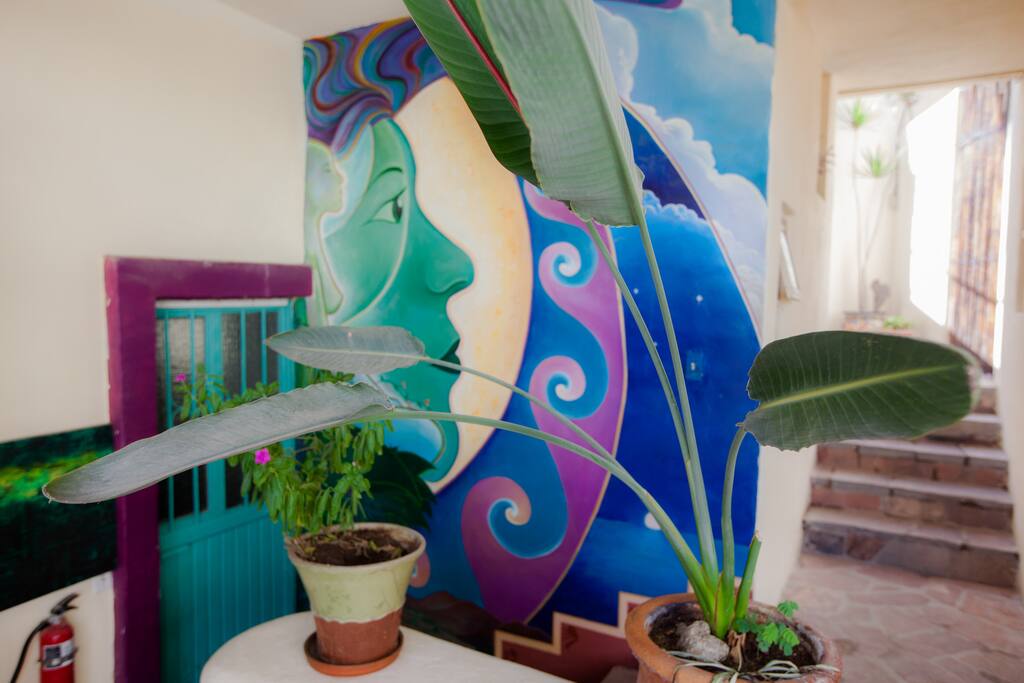 Entrance of the apartment