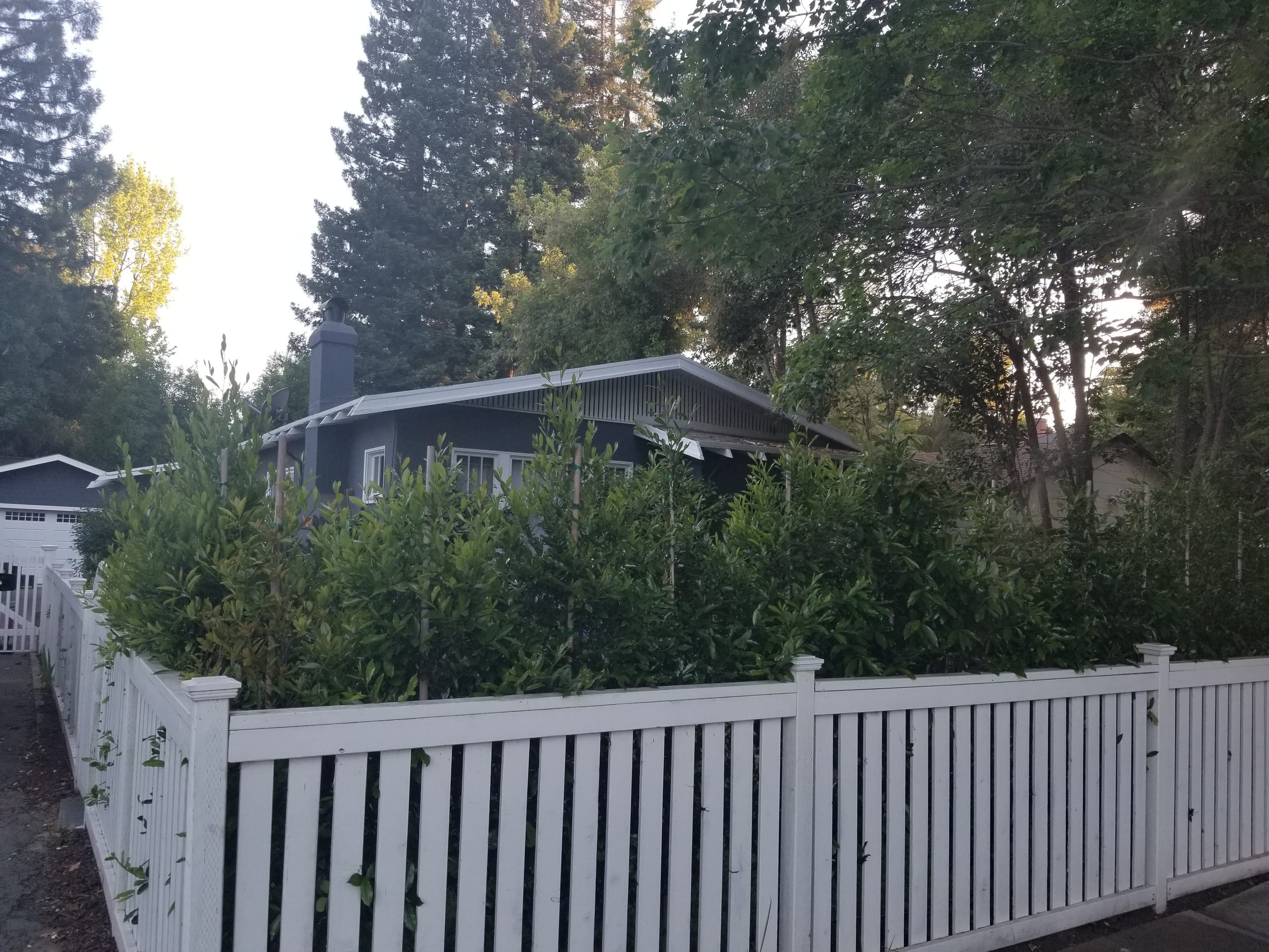 Remodeled Home Near Stanford, Private Yard - Main photo