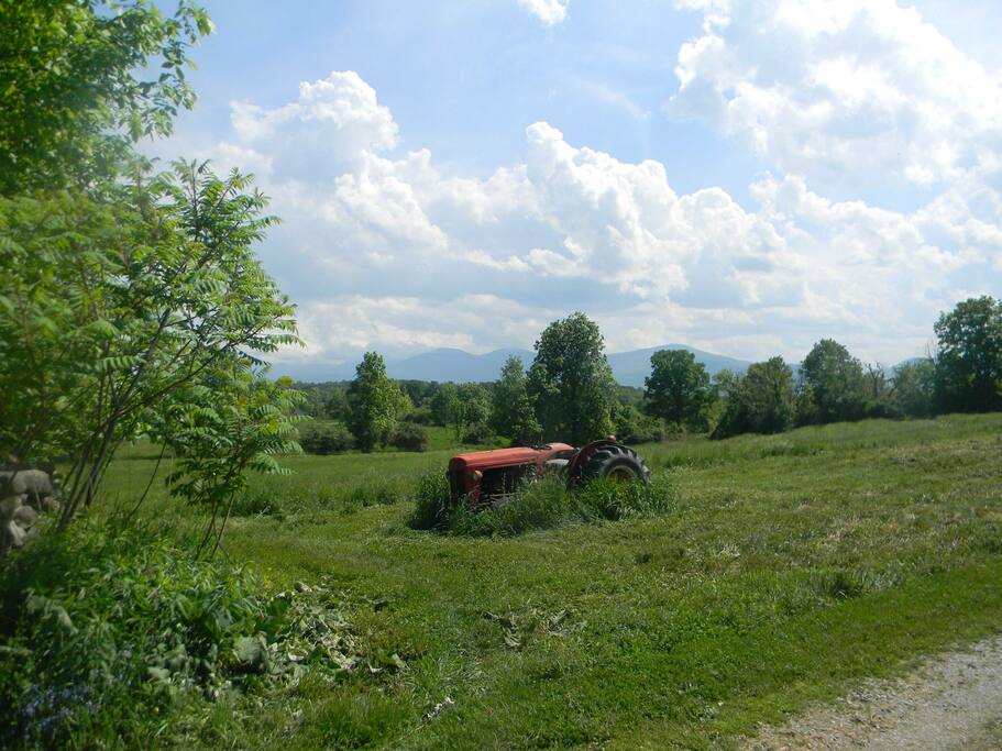 Say hello to Old Joe on your way into the farm