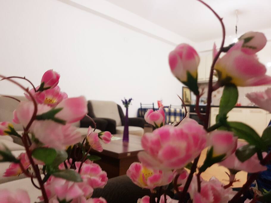 Living Room&Flowers