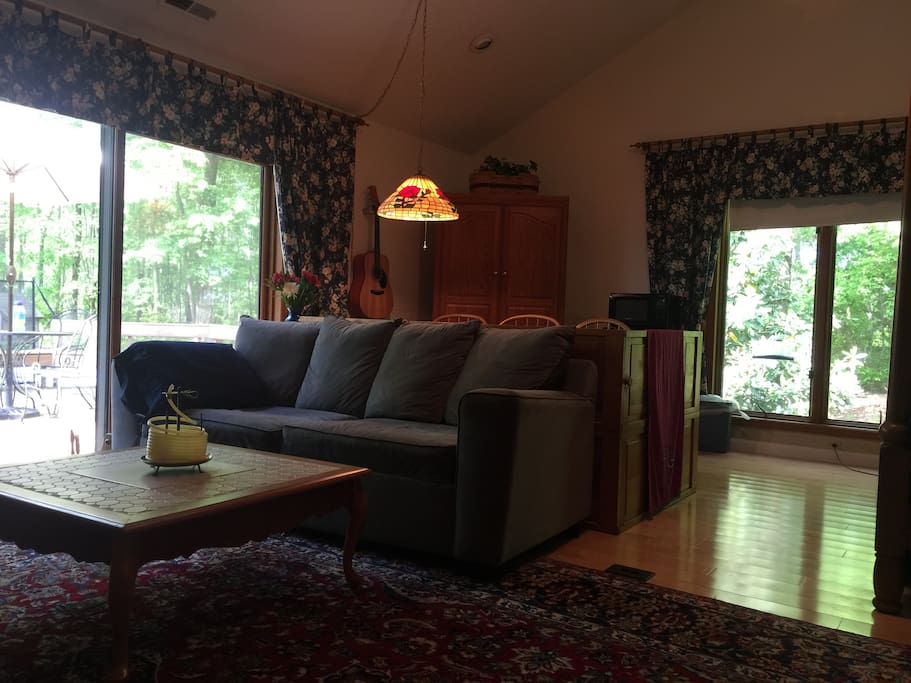 Huge sitting area. Sofa conceals an additional queen mattress
